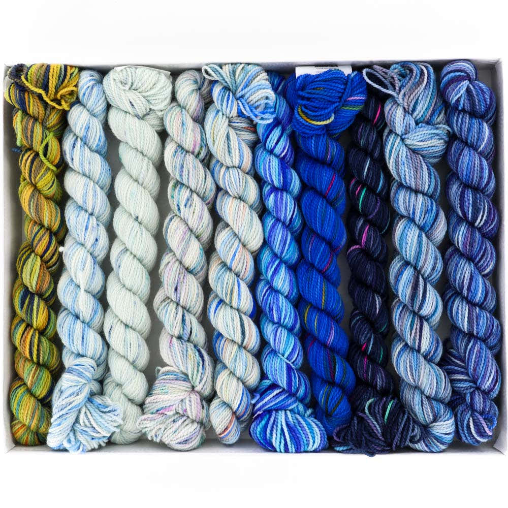 Koigu KPPPM WEBS 50th Anniversary Pencil Box Set Yarn - Merino Wool 4 Ply