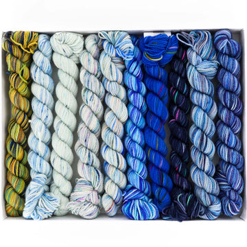 Koigu KPPPM WEBS 50th Anniversary Pencil Box Set Yarn - Merino Wool 4 Ply