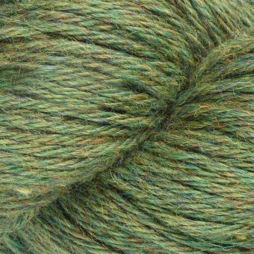 Avocado (1046)