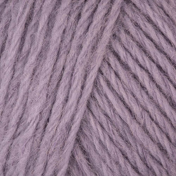 Periwinkle (900)