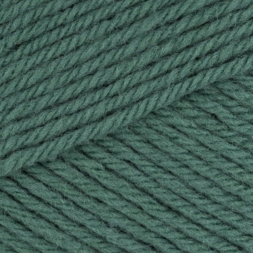 Little Leprechaun (462)