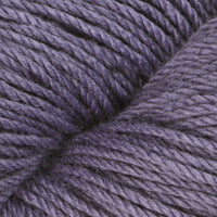 Delphinium (02155)