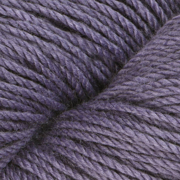 Delphinium (02155)