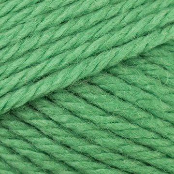 Grass (86)