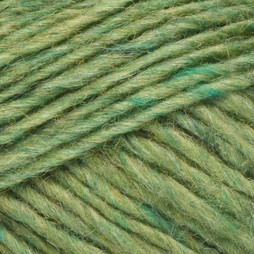 Spring Green Heather (1406)