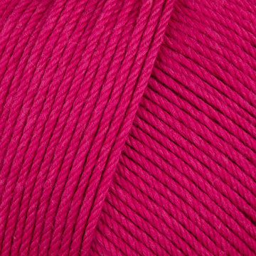Raspberry (755)