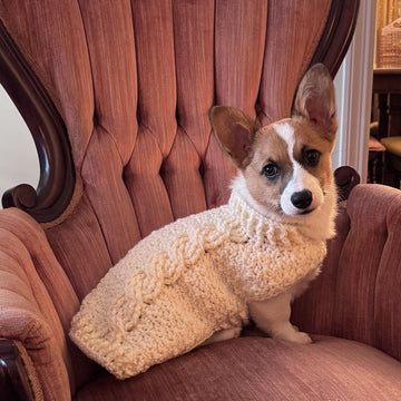Cable Crochet Dog Sweater