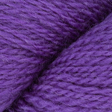 Purple Hyacinth (7808)