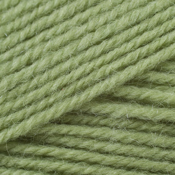 Pistachio (170)
