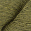 Turtle (2452)