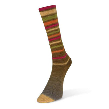 Olive, Fuchsia, Cream, Lime, Orange (11)