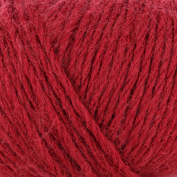 Poppy (495)