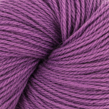 Elderberry