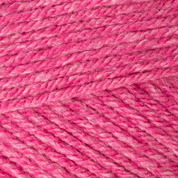Flamingo (1808)