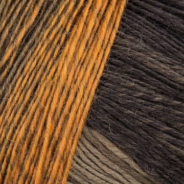 Wer Hat Die Kokosnuss (2135)