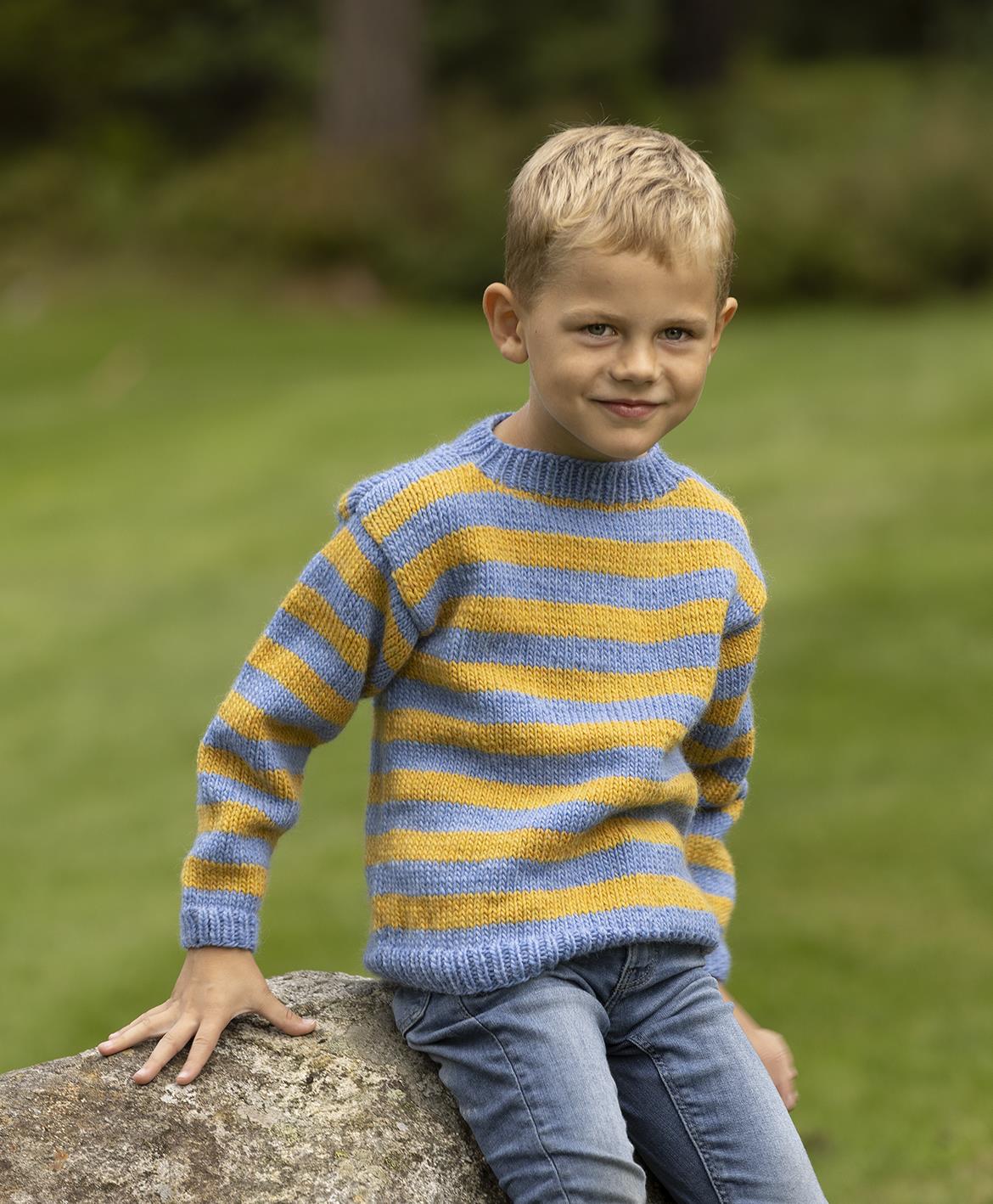 Alf Sweater in Viking Garn Viking Wool