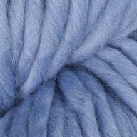 Blue Heron (0077)