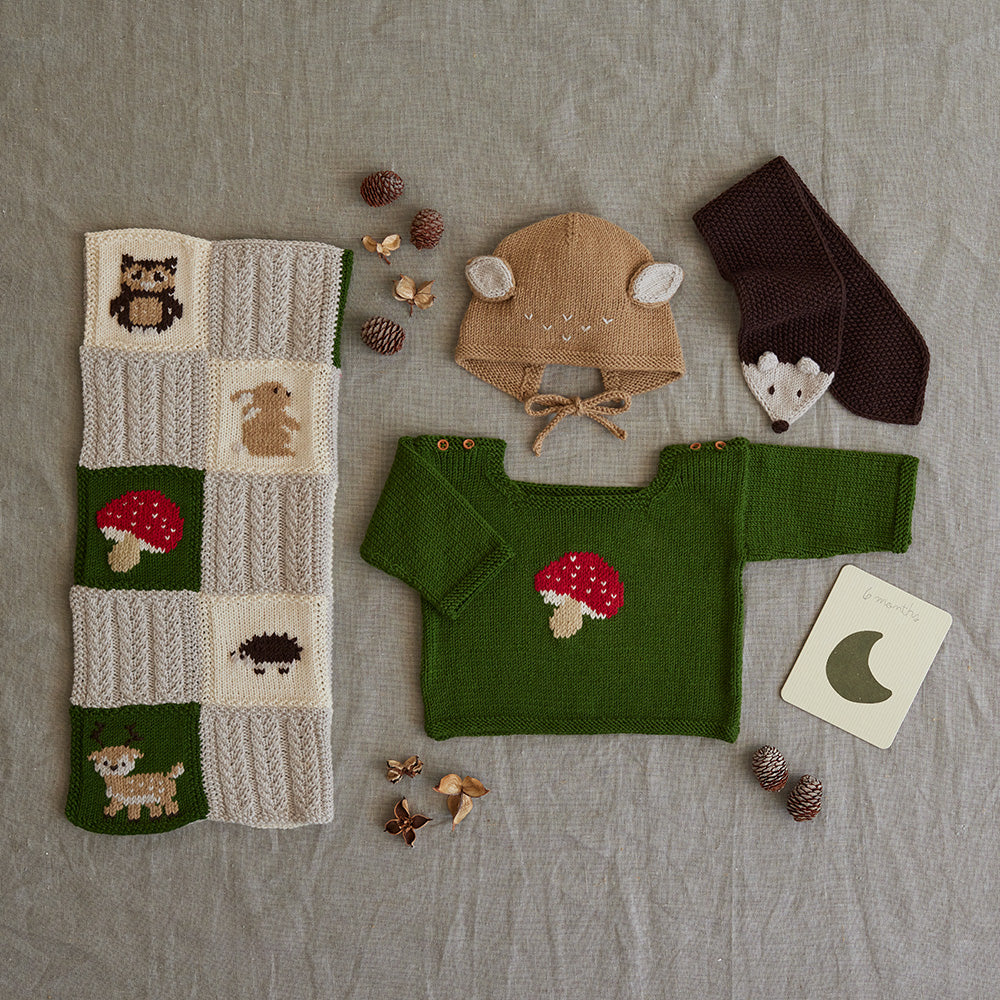 Debbie Bliss Forest Folk Layette Set Knitting Pattern