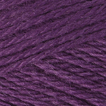 Fig (5362)