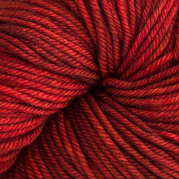 Robin Red Breast (261)