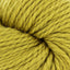 Rich Gold (320)