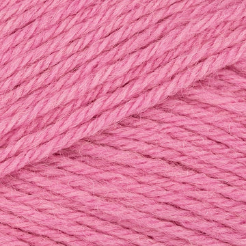 Raspberry (1772)