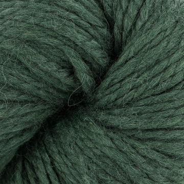 Chive (12)