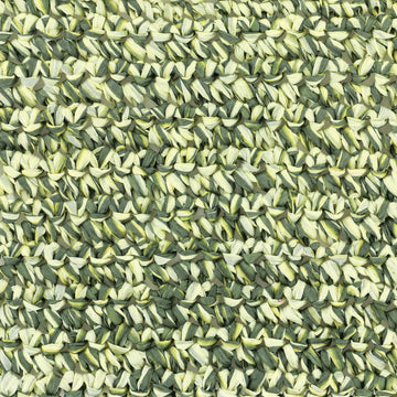 Adriafil Rafia Yarn - Raffia novelty