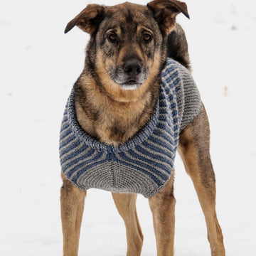 Blue Sky Fibers Bird Island Dog Sweater PDF