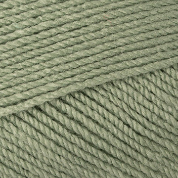 Fern (91)
