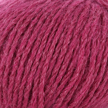 Raspberry (1393)