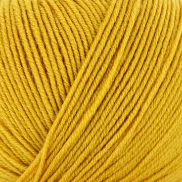 Amber (203)