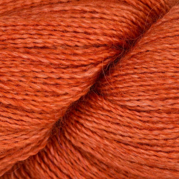 Glazed Carrot (SA016)