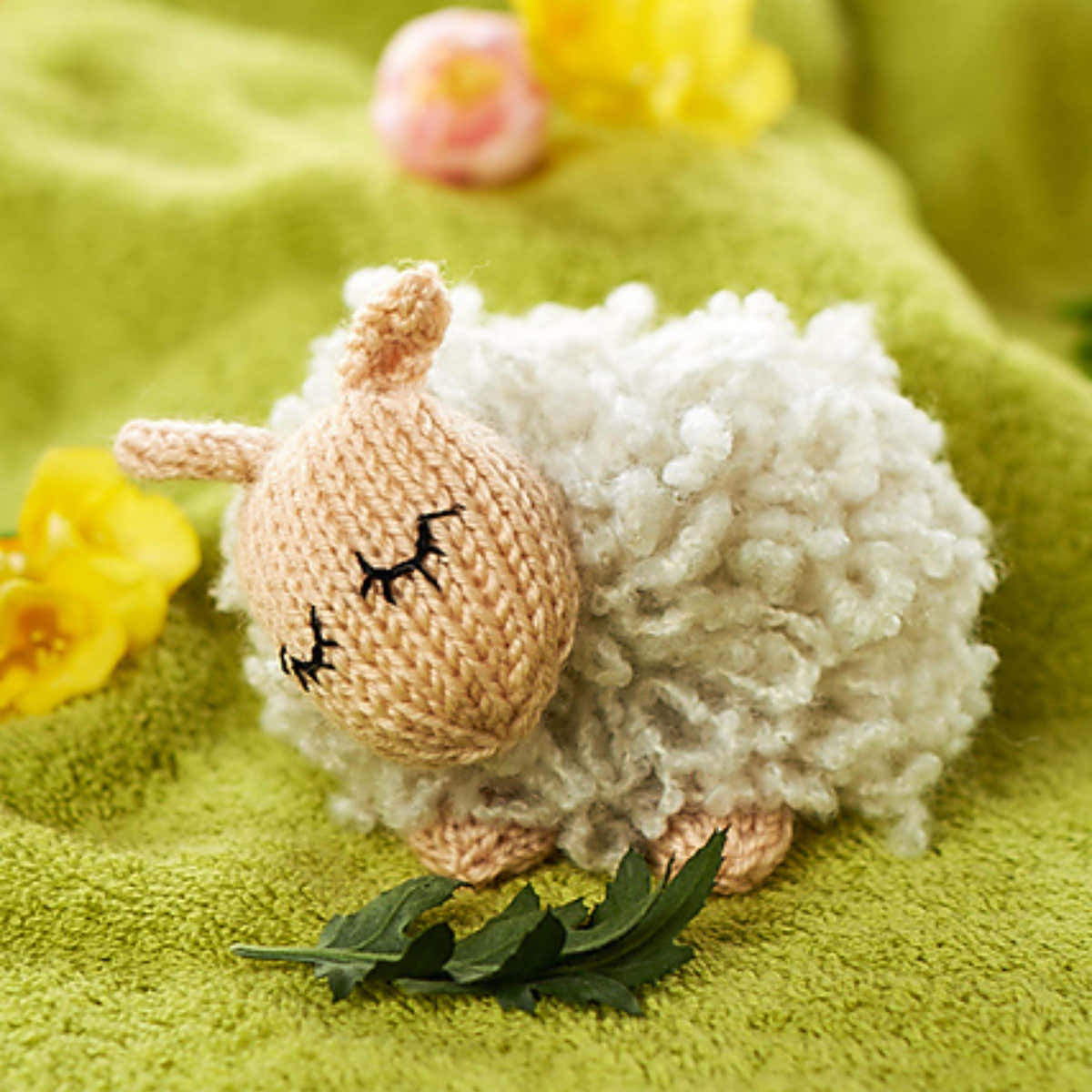 Sleepy Sheep