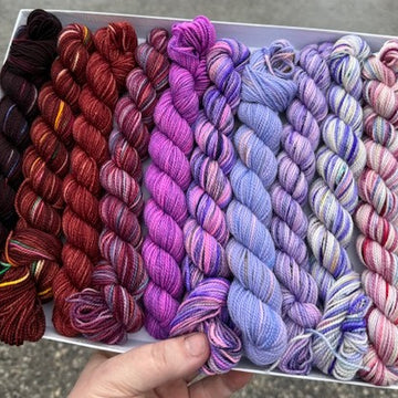 Koigu KPPPM Yarn.com Pencil Box Set Yarn - Merino Wool 4 Ply