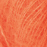 Pumpkin (728)
