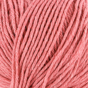 Lana Grossa Linea Pura Fourseason Discontinued Colors Yarn - Wool Worsted