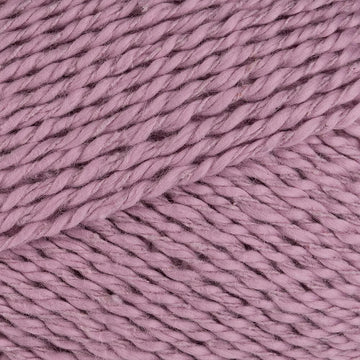 Wisteria (2822)