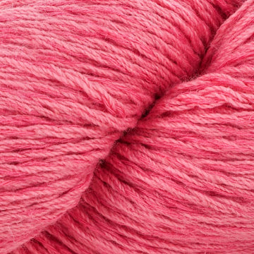 Guava (113)