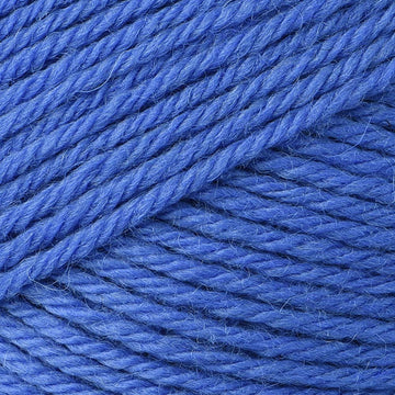 Blueberry (30)