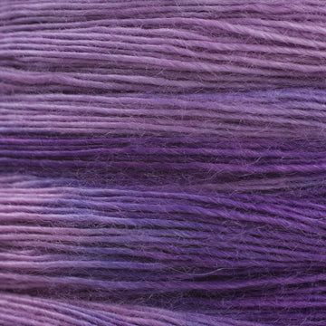 H31 (0031)