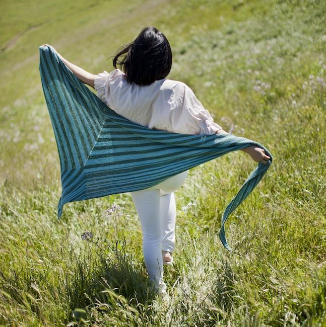 Modern Daily Knitting Field Guide Pattern
