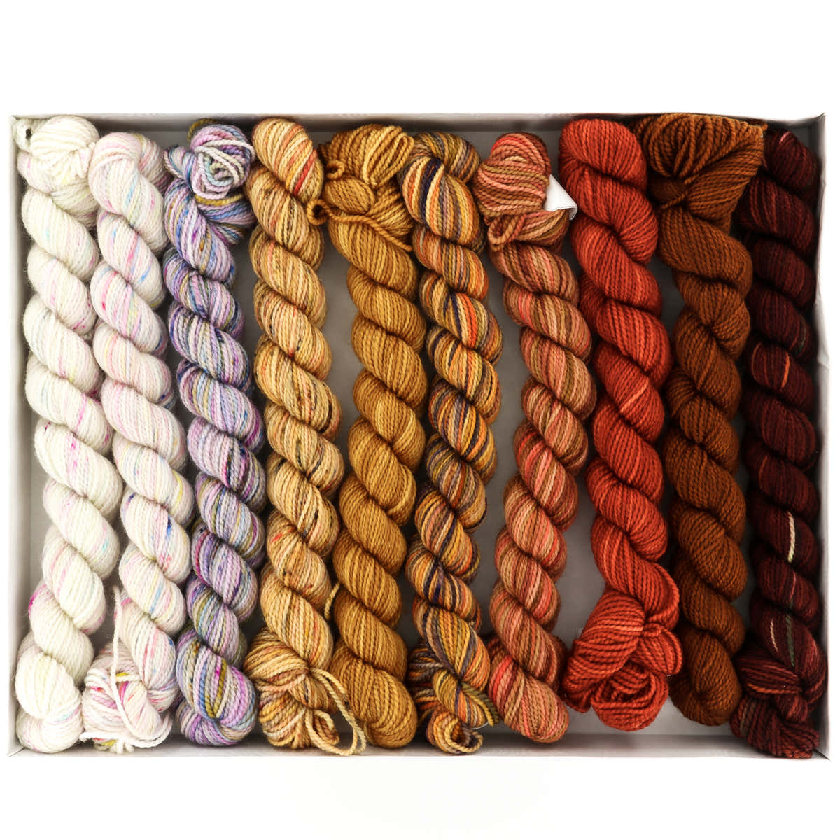 Koigu KPPPM Venation Pencil Box Set Yarn -