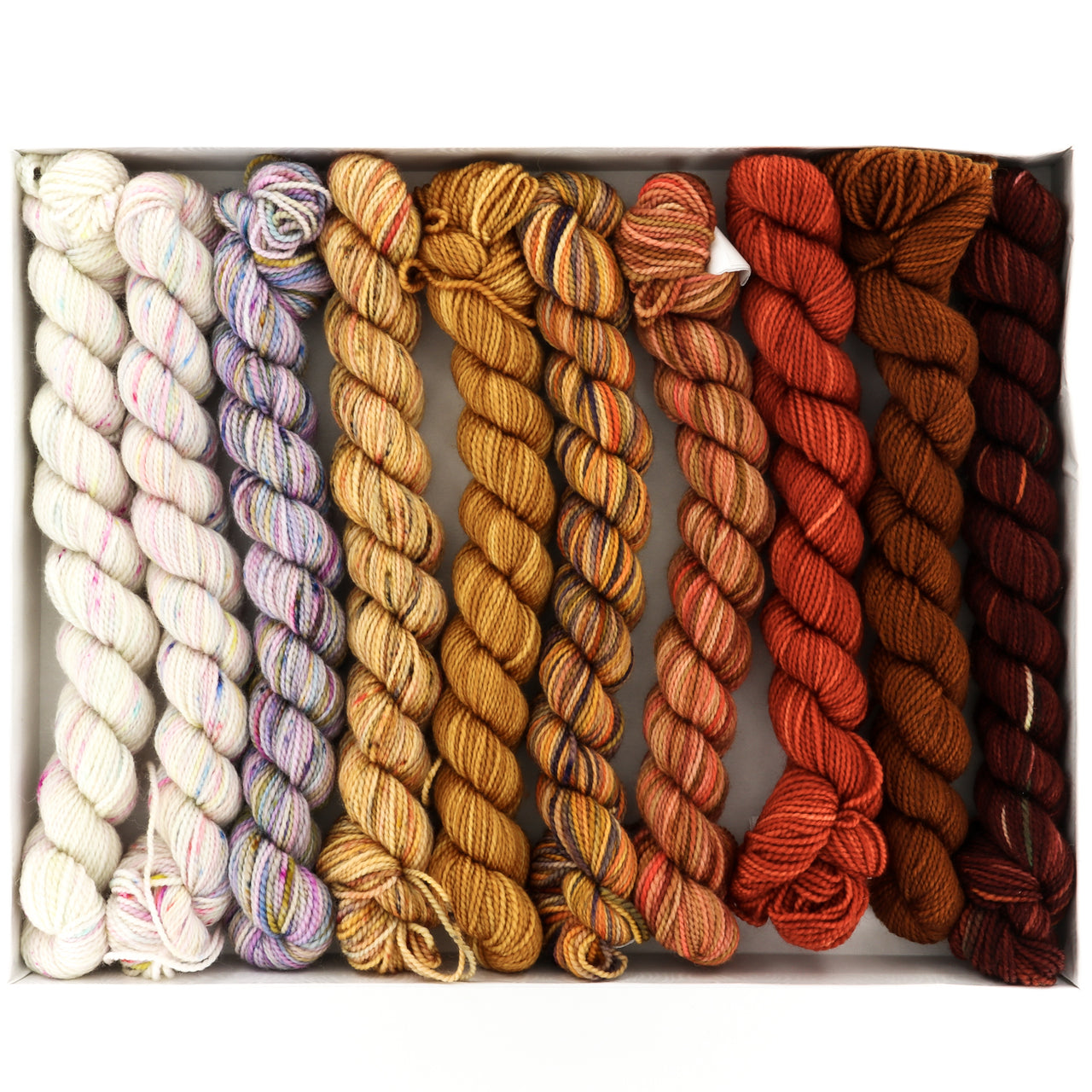 Koigu KPPPM Venation Pencil Box Set Yarn -