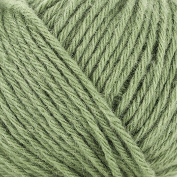 Sage (64)