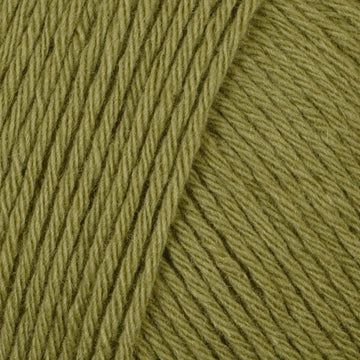 Spring Meadow (211) (211)