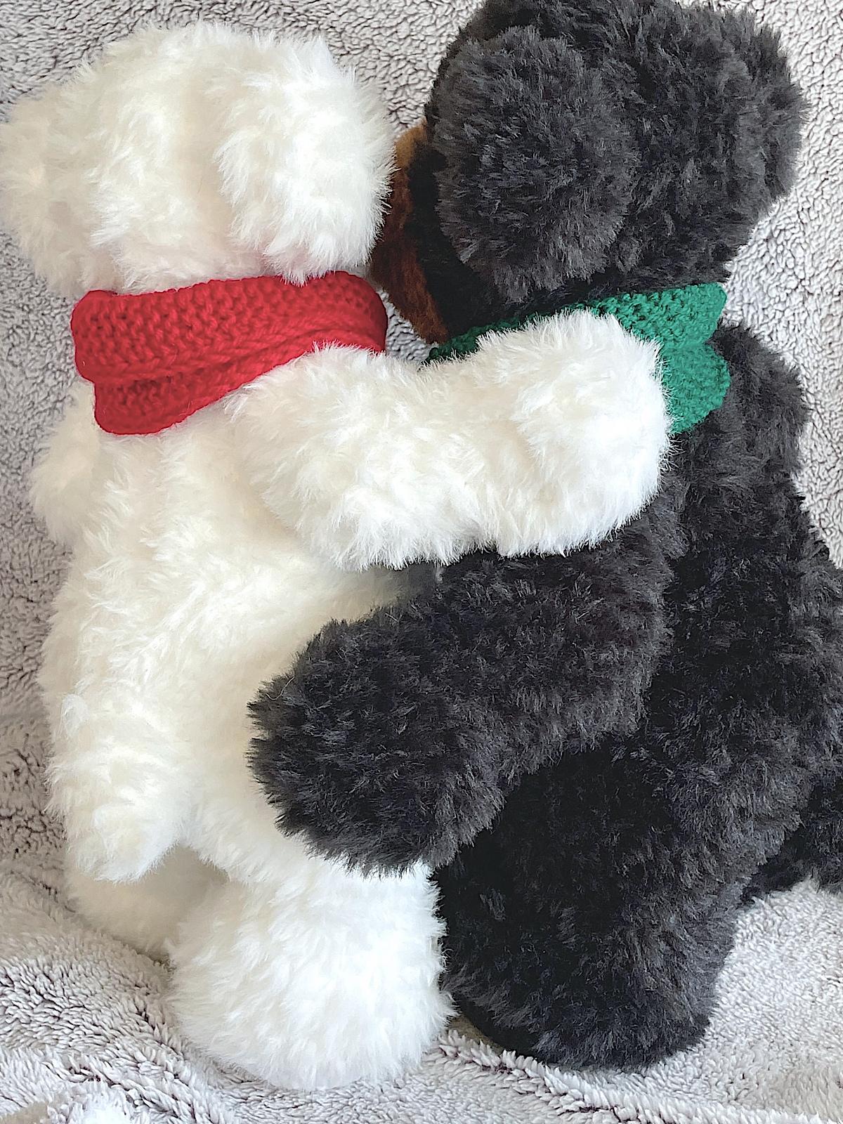 Polar and Grizzly Bear Cousins