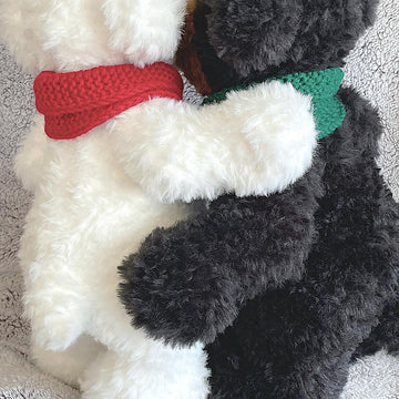 Polar and Grizzly Bear Cousins