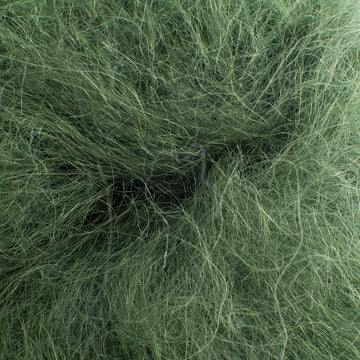Parsley (915)
