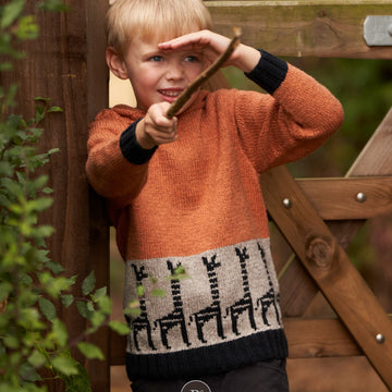 Giraffe Parade Sweater Jumper Knitting Pattern